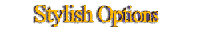 Sylish Options